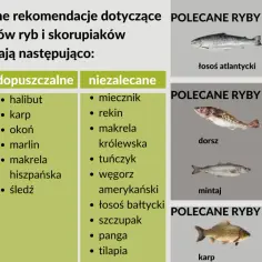 Wybieraj najzdrowsze ryby: dorsz, łosoś, makrela. Lista polecanych, dopuszczalnych i niezalecanych gatunków ryb i skorupiaków.